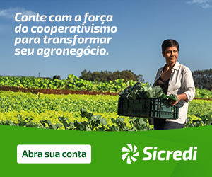 300x250px agro