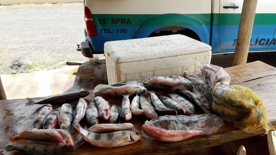 Center pescado cota costa rica 28 de setembro de 2019