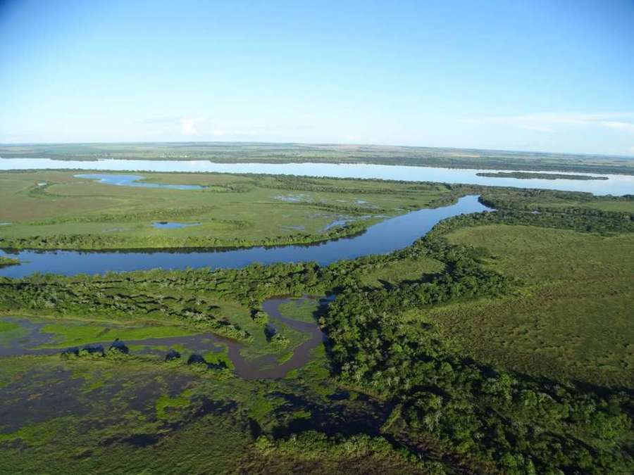 Center parque estadual do rio ivinhema