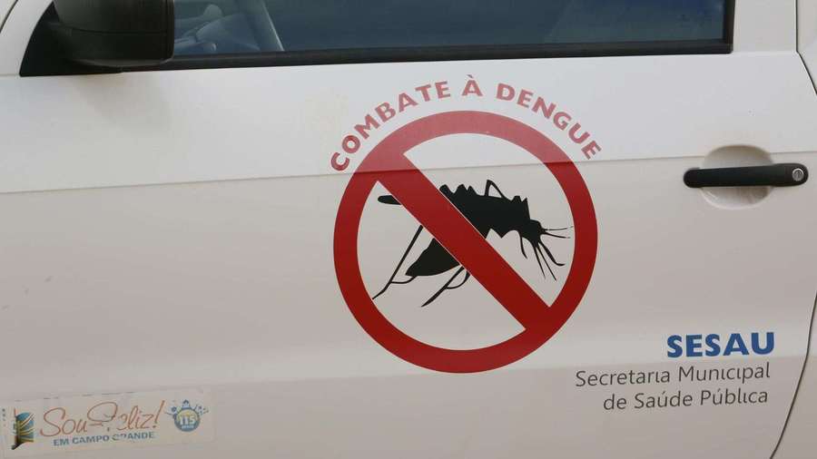 Center mosquito da dengue foto henrique arakaki