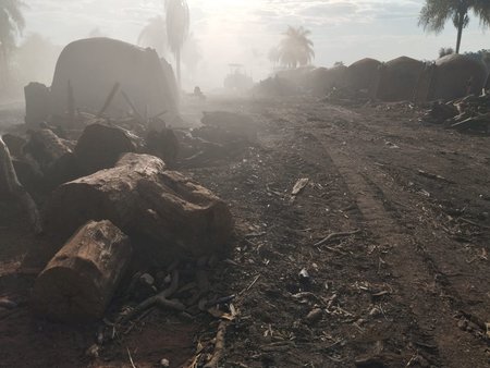 Cb image default