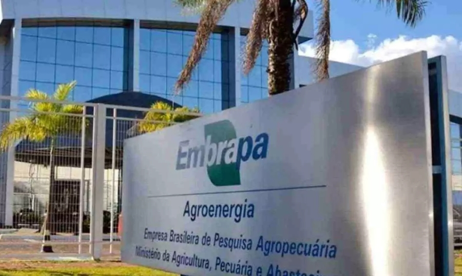 Center embrapa