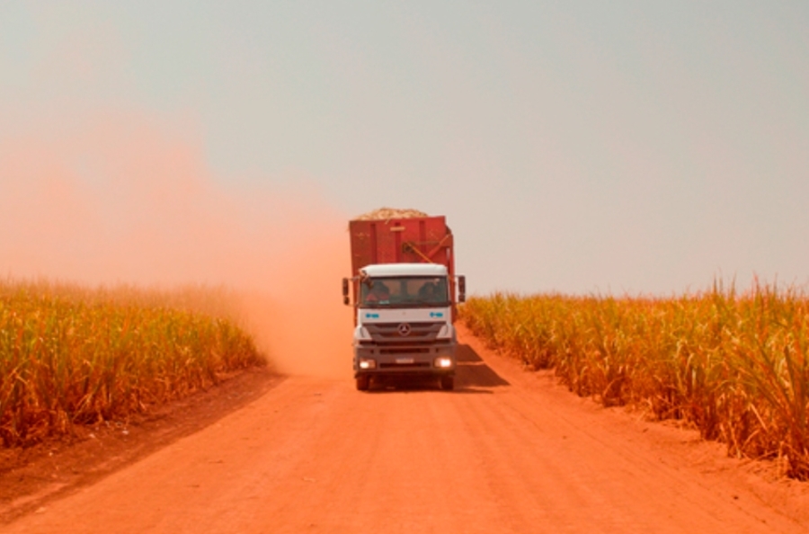 Center rodotrem