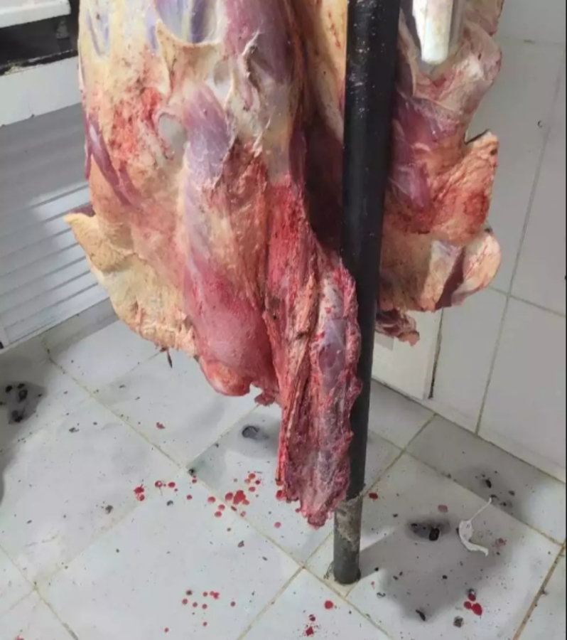 Center carne