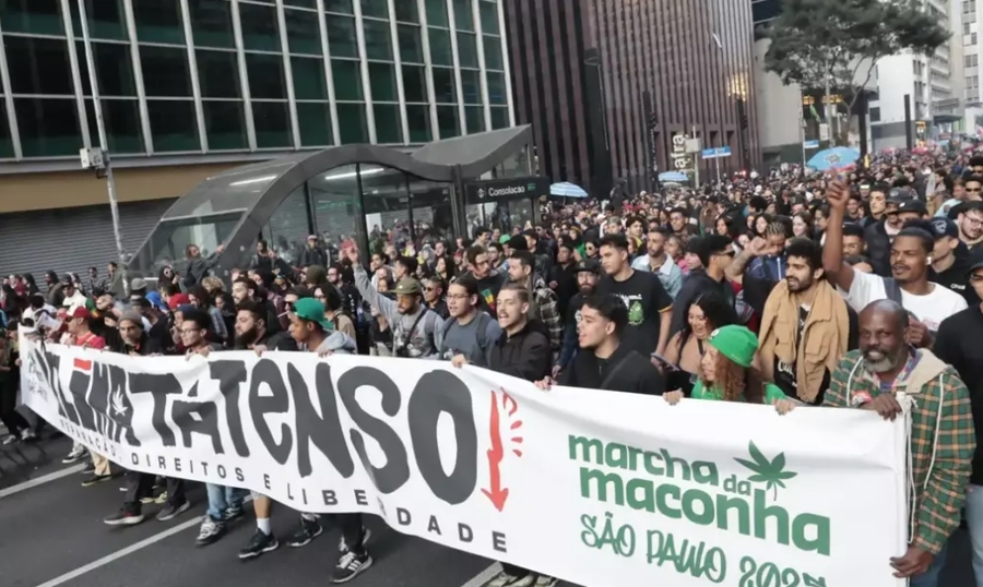Center maconha