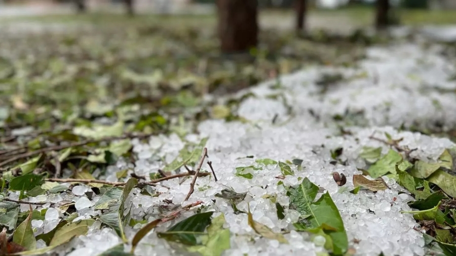 Center granizo