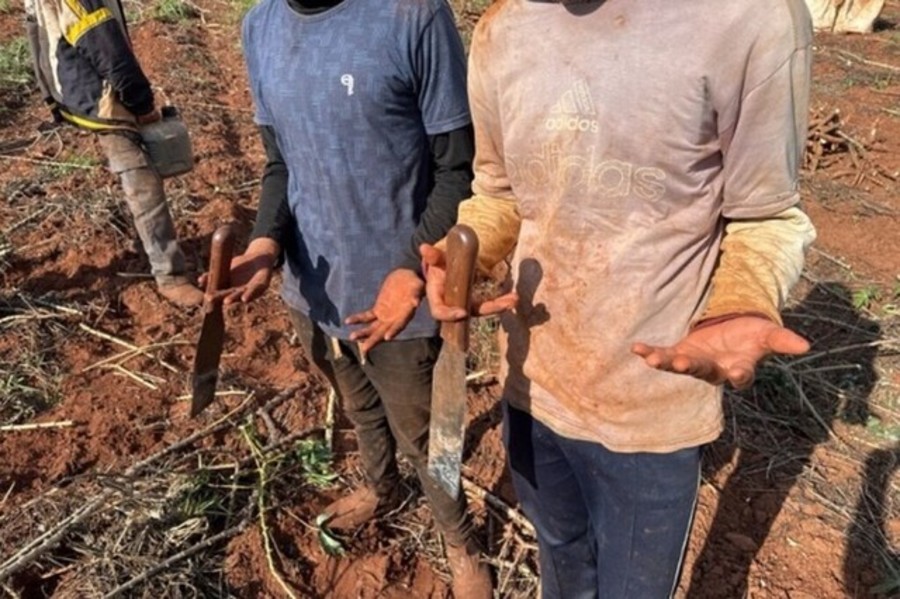 Center 3hgvifewfr0gs