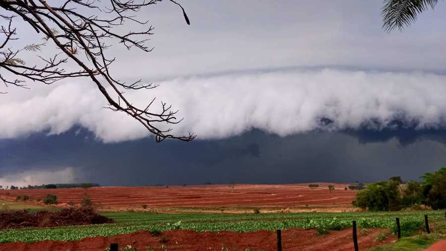 Center imagem arquivo emerson bordim