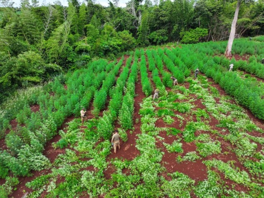 Center 39y63rs9pa4gs