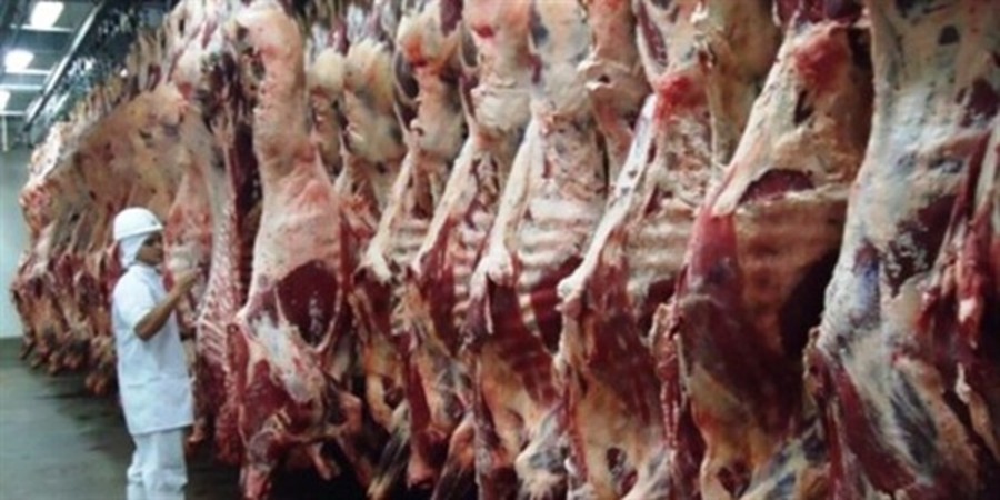 Center 1e4t8iddy1iuj