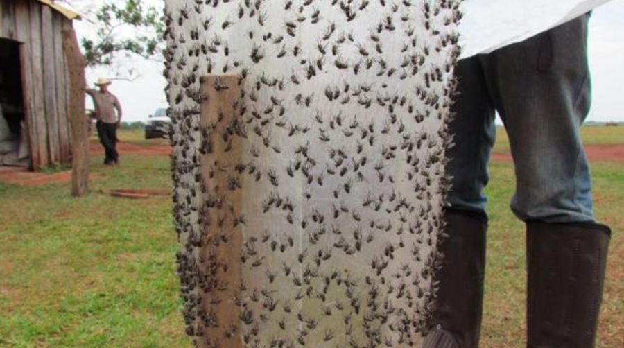 Center 2mq6eb1664sg4