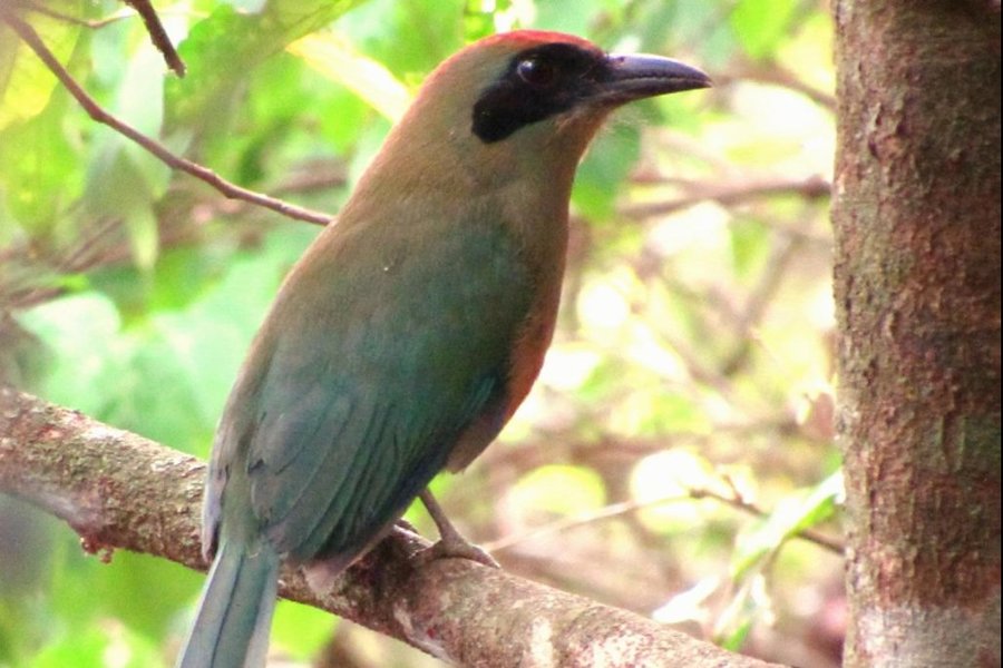 Center 2026 03 26 04 43 26 96dbc083 b329 49f9 b0f2 cf5eef44b8a5