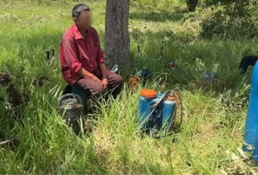 Center 1cmxuccdnizjd