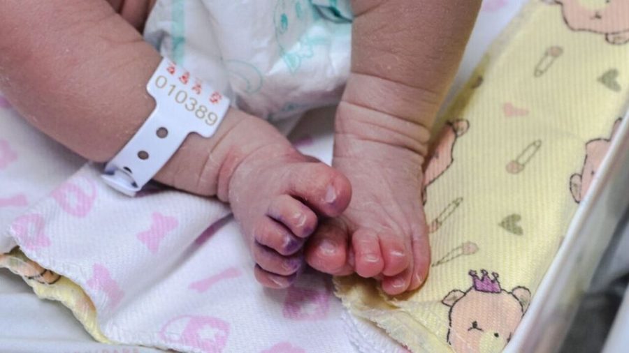 Center primeira bebe 2025 1 1024x576