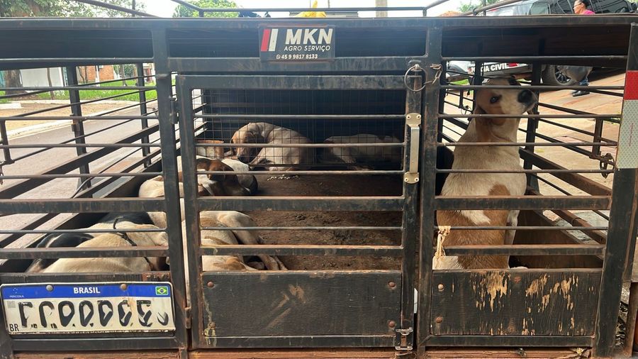 Center 4ce4cbda 32ae 427a 9675 177fd9024106