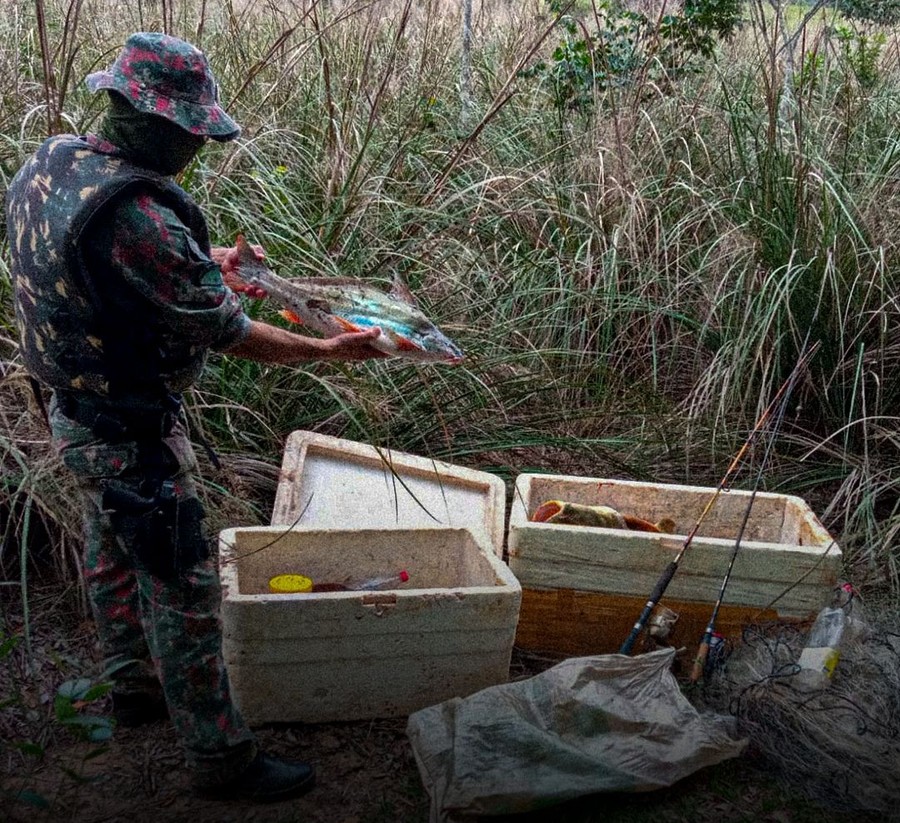 Center sem titulo 35