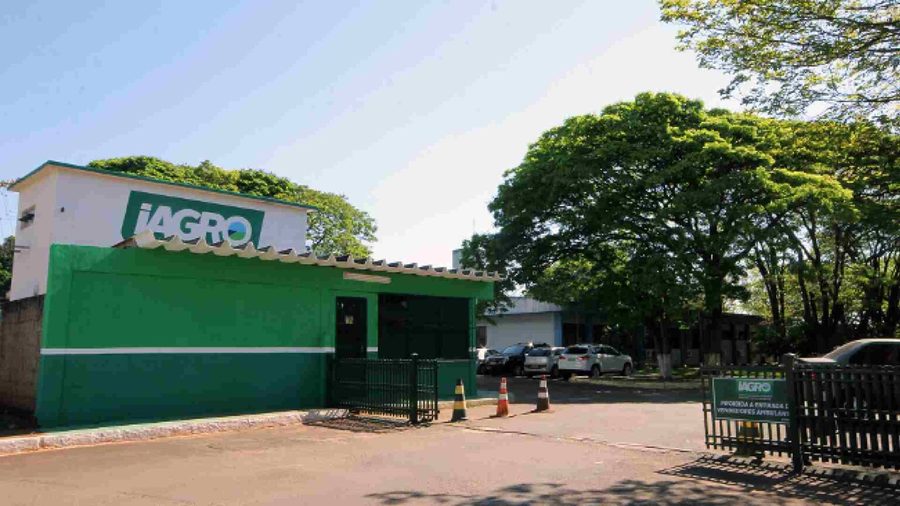 Center novo projeto 2024 07 23t085611.309 1536x864